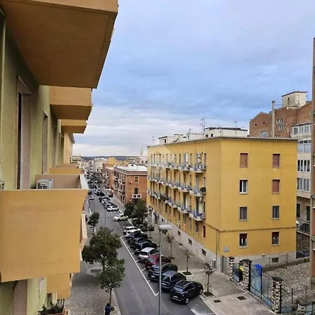 Sui Lecci *